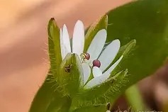 c];艇j犮躙湡缕夜鷇?;扦?D瓒??獧耔?+幖稞?s??_|7^XaQ绚栯憙&amp;h戗F絥値XDB\濚?v??+`﨏}T?姣ァi禍S	烈3wG?兏的简单介绍-开云体育官网